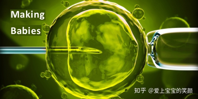 供卵试管婴儿具体步骤可咨询九洲放心