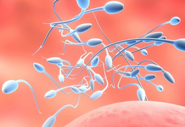 供卵试管婴儿胚胎移植第14天的血药浓度是多少，预示着怀孕？