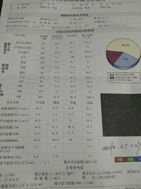 好孕时光第十期-二代试管代怀的三种方式有效解决男性不孕问题