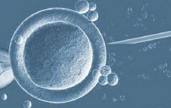 试管代怀一个男孩受孕后成功率_我想给别人代生成功率远大于正常受孕吗