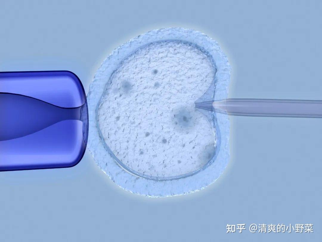 在宁波的正规公立医院哪有试管代怀妈妈一个周期大约要多少钱